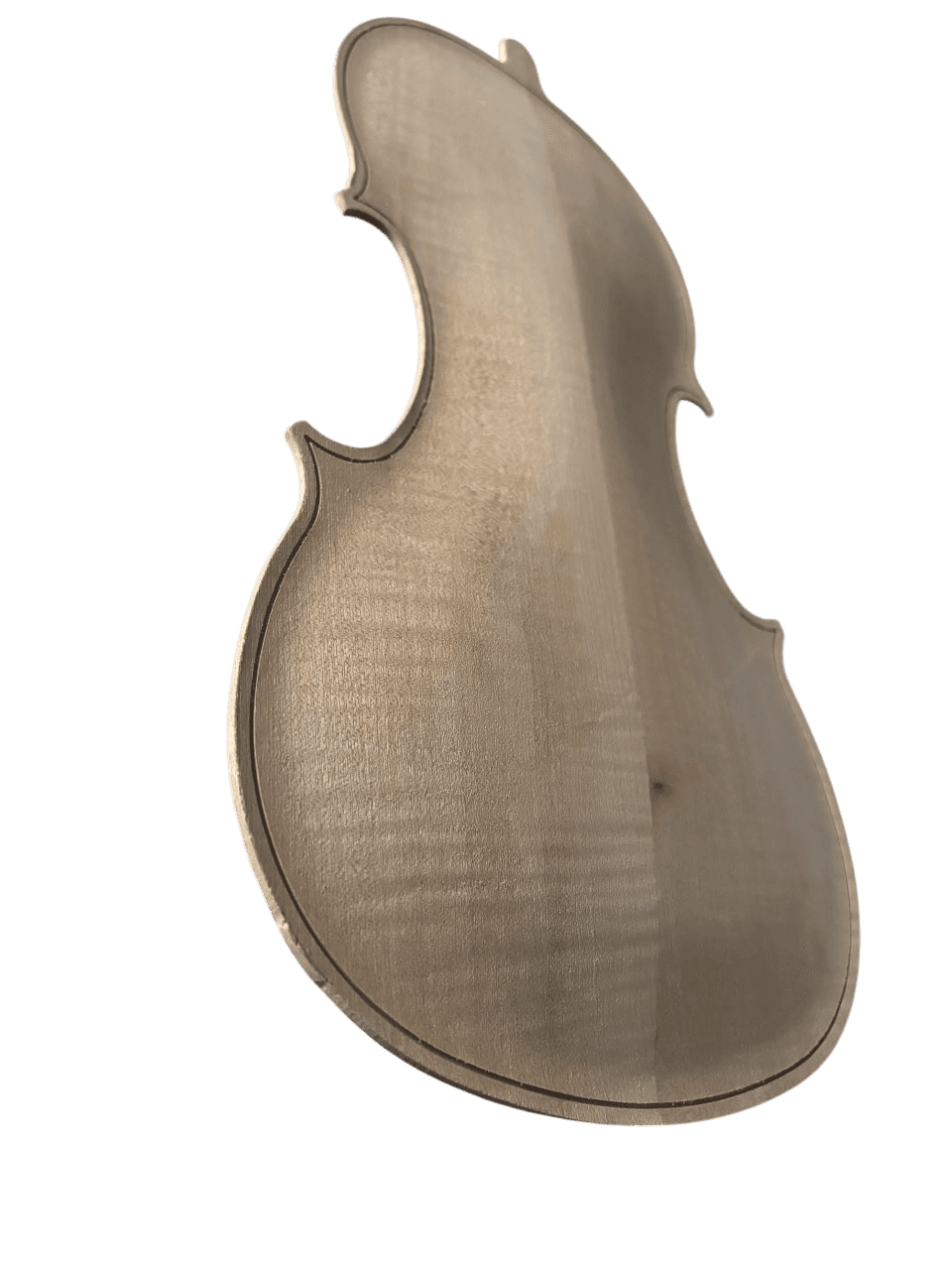 The back of a violin in curly maple, carved and not yet finished