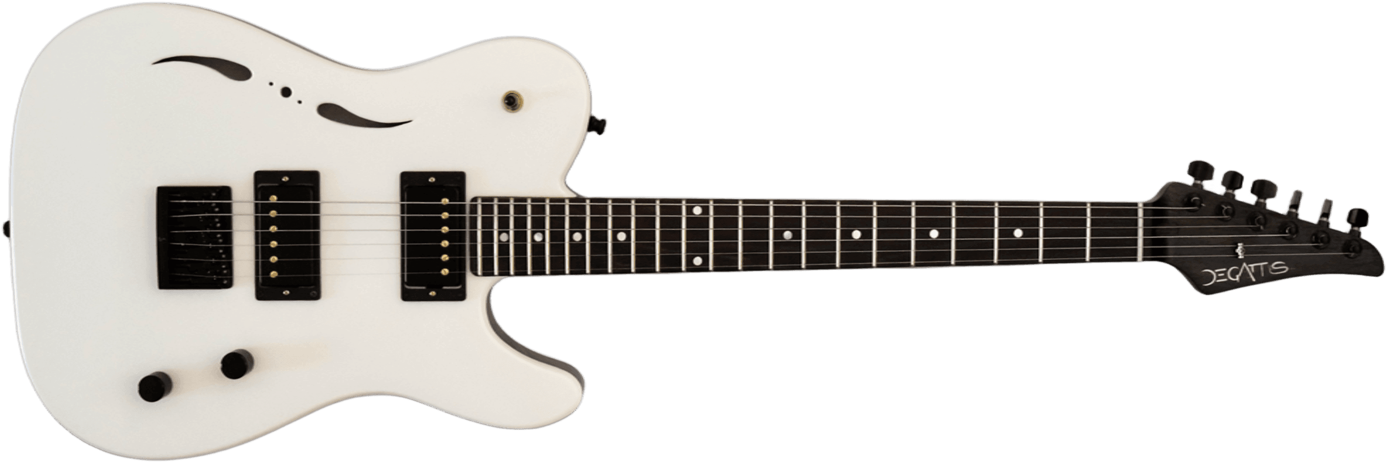 Tele Thinline — De Gattis guitar, the whole instrument